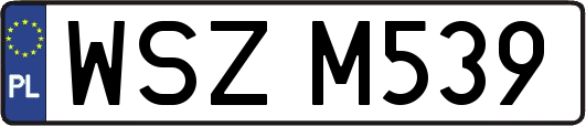 WSZM539