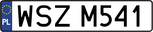 WSZM541