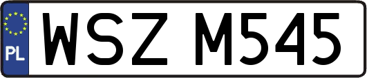 WSZM545
