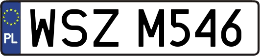WSZM546