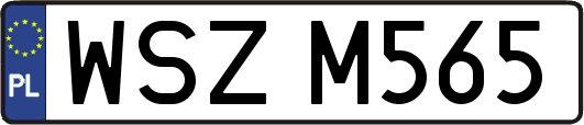WSZM565
