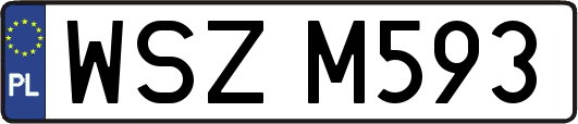 WSZM593