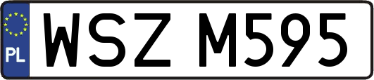 WSZM595