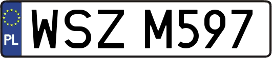 WSZM597