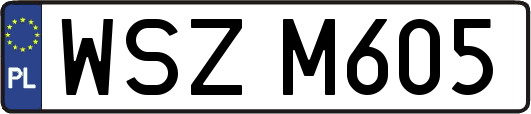 WSZM605