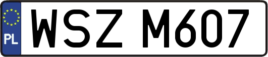 WSZM607