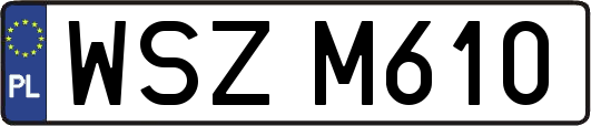 WSZM610