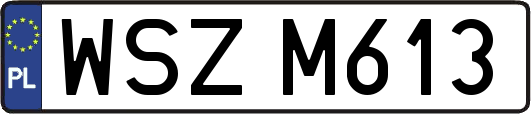 WSZM613