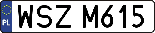 WSZM615