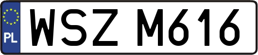 WSZM616