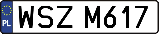 WSZM617