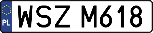 WSZM618