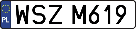 WSZM619