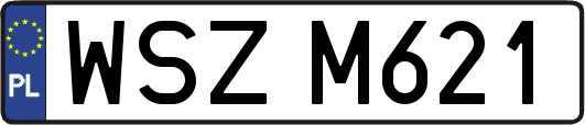 WSZM621