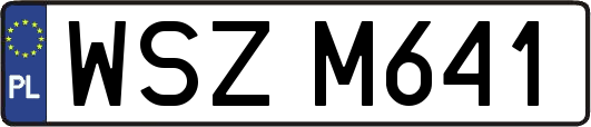 WSZM641