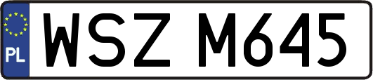 WSZM645