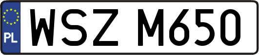 WSZM650