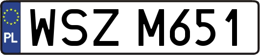 WSZM651