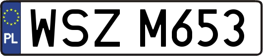 WSZM653
