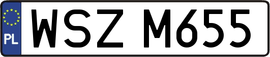 WSZM655