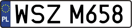 WSZM658