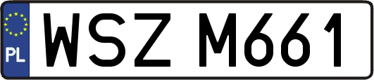 WSZM661
