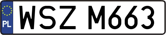 WSZM663