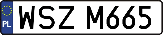 WSZM665