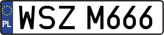 WSZM666