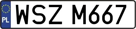 WSZM667