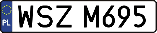 WSZM695