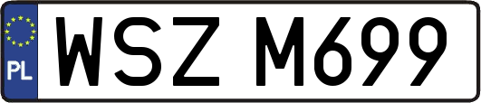 WSZM699