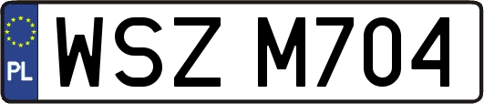 WSZM704