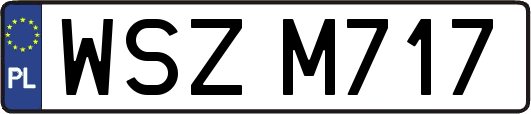 WSZM717