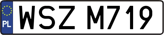 WSZM719