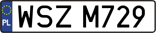 WSZM729