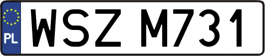 WSZM731