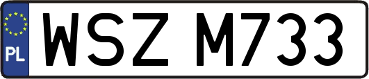 WSZM733