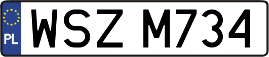 WSZM734