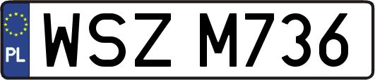 WSZM736