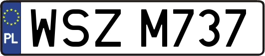 WSZM737