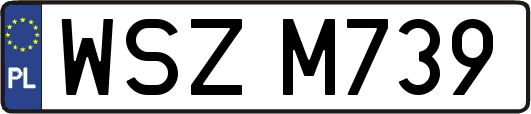 WSZM739