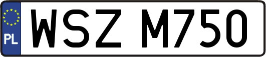 WSZM750