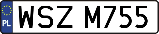 WSZM755