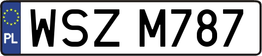 WSZM787