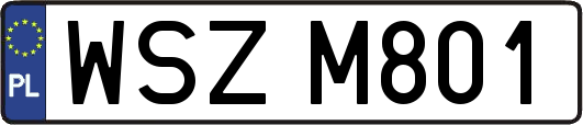 WSZM801