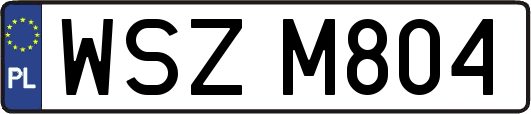 WSZM804