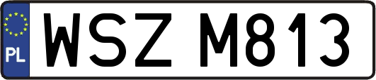 WSZM813