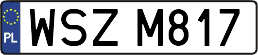 WSZM817