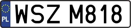 WSZM818